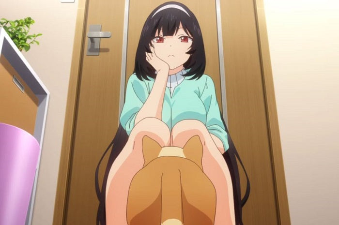 Synopsis of the anime Inu ni Nattara Suki na Hito ni Hirowareta