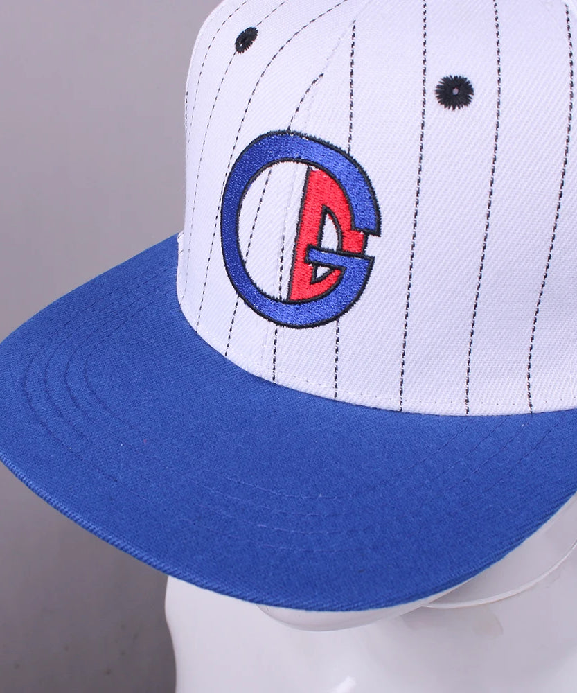 Jojo's Bizarre Adventure Stone Ocean Emporio AlNiño Cosplay hat Embroidery Logo Hat Baseball Cap For Kids adult Halloween Gift